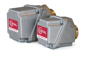 Removable flange immersion heaters - Cetal